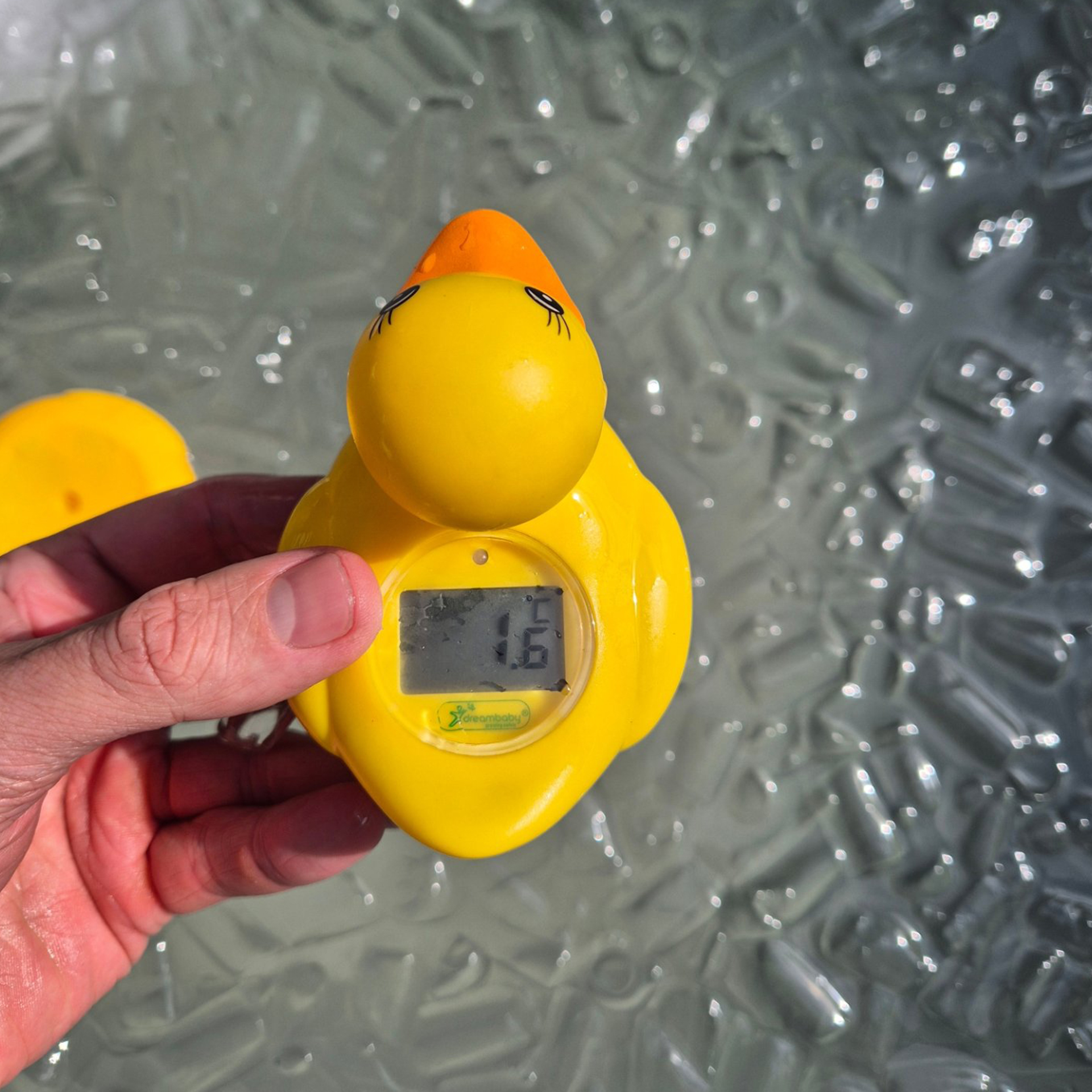 coffeeandplunge-image (76) coffeeandplunge-image (76)